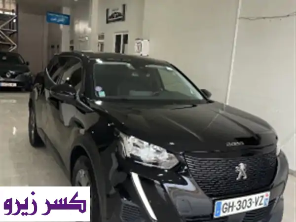 Peugeot 20082022 Active