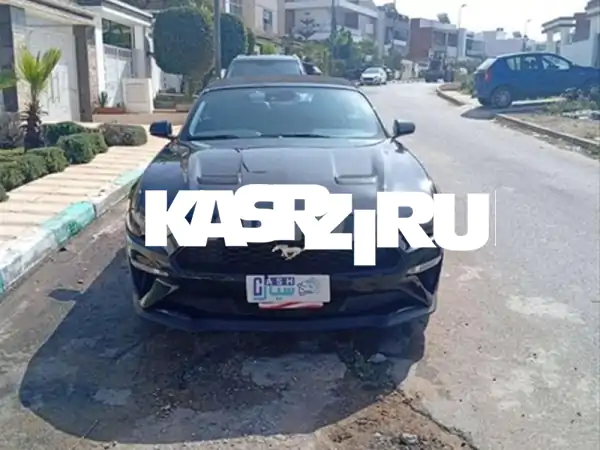 أيقونة الأداء: فورد موستانج 2022 أوتوماتيك (50 ألف كم)...