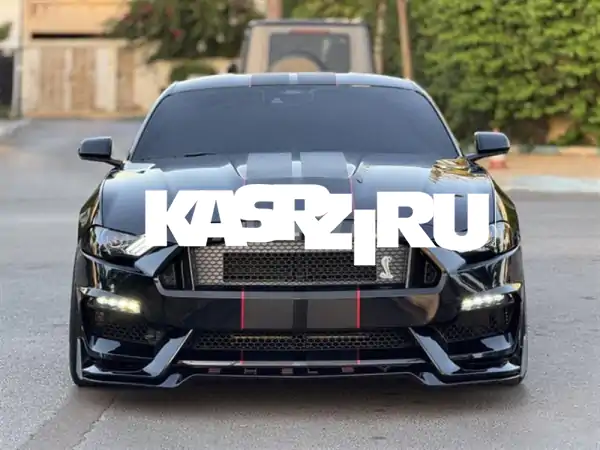 امتلك الأسطورة: فورد موستنج شيلبي GT350 R موديل 2022 -...
