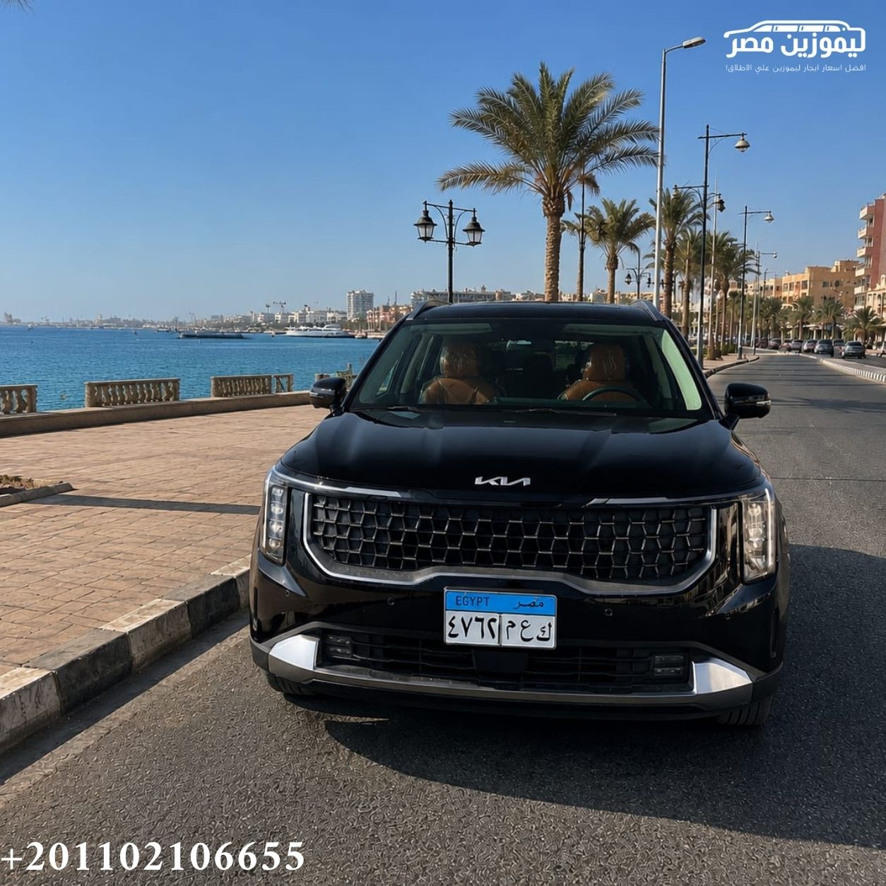 🚐 Kia Carnival Rental with Chauffeur from Maadi Gardens to El Quseir