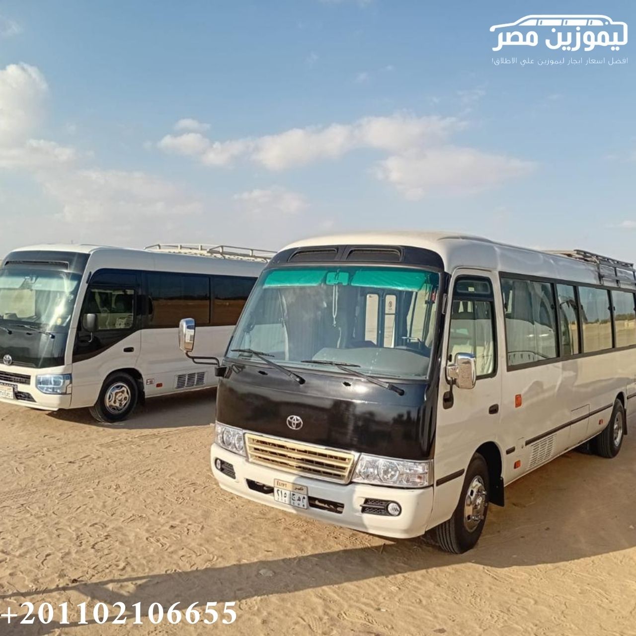 🚌 Toyota Coaster 30-Seater Minibus for Rent with Driver | Dokki to Alamein | North Coast Group Transfer