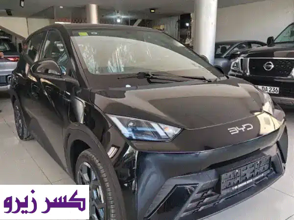 BYD Seagull 2025