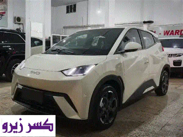 BYD Seagull 2025