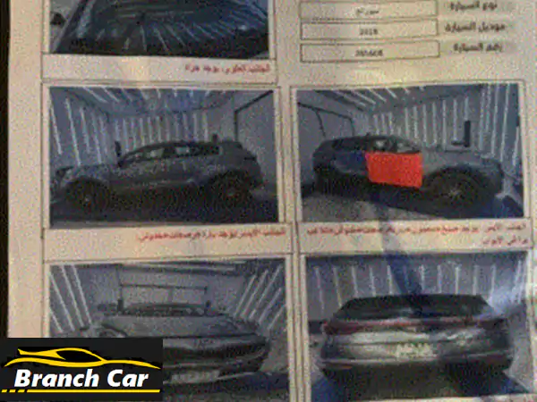 سبورتج امريكي ⁦2018⁩