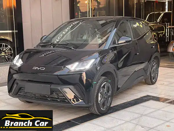 BYD Dolphin Surf EV 2027