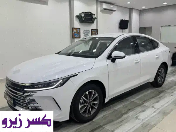 BYD Destoyer 052025