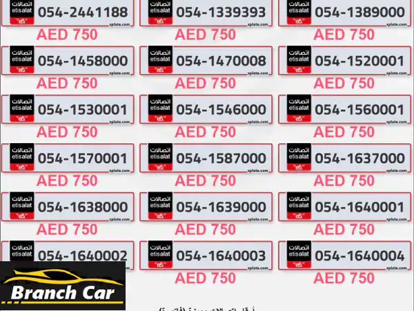 رقم Fancy 054 في الإمارات العربية المتحدة  متوفر لكبار الشخصيات والبلاتينيوم